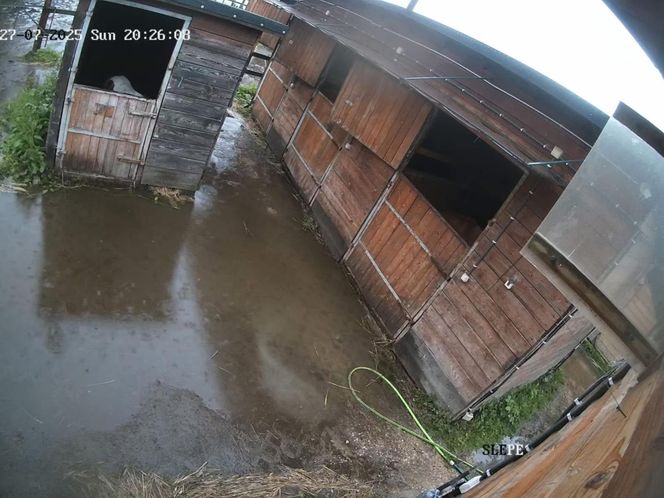Przystań Ocalenie w Ćwiklicach zalana po ulewnych deszczach. Potrzebna pomoc