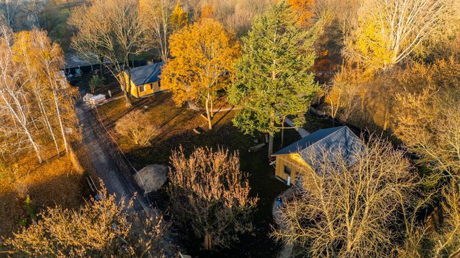 Odbudowa domków fińskich na Polu Mokotowskim