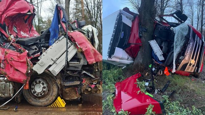 TIR wbił się w przydrożne drzewo! Z kabiny została miazga