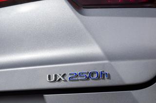 Lexus UX 250h E-Four Omotenashi