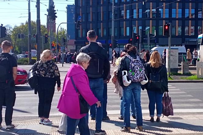 Gehenna pieszych w centrum Szczecina