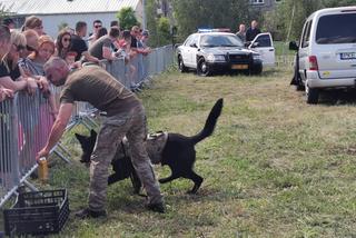 MOTOSERCE po raz 14.