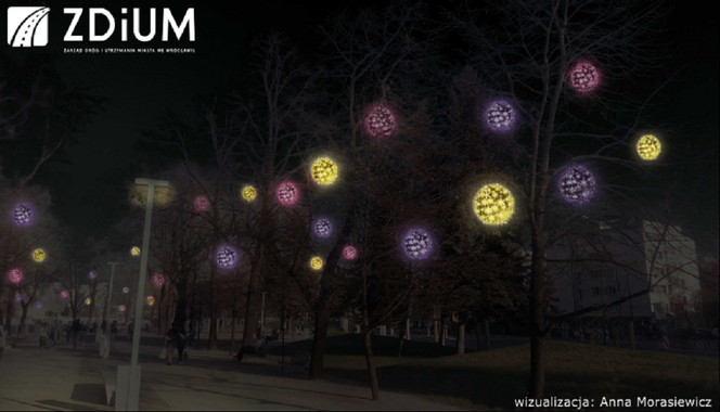 Świąteczne iluminacje na wrocławskich ulicach