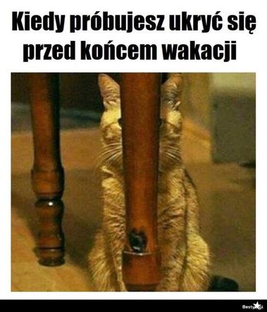 Najlepszy z okazji zakończenia wakacji i początku roku szkolnego!