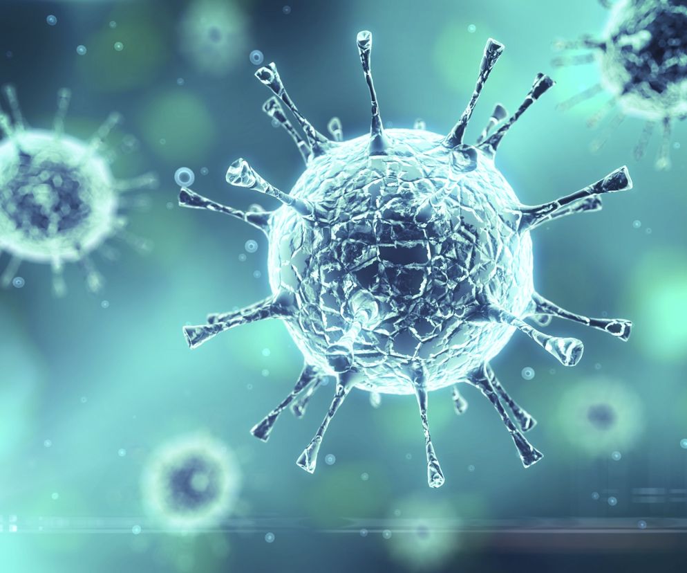 Jakie dodatkowe zagrożenie niosą ze sobą infekujące nas drobnoustroje: wirus ludzkiego brodawczaka (HPV), wirus Epsteina-Barra (EBV) i wirusy zapalenia wątroby (HBV i HCV).