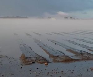 Zniszczone plantacje warzyw i owoców na Dolnym Śląsku. To był prawdziwy armagedon 