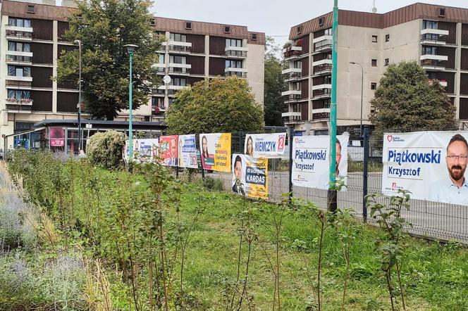 Plakaty wyborcze w Łodzi. Jest ich mnóstwo. Co się z nimi stanie po wyborach?