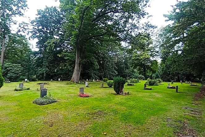 Ohlsdorfer Friedhof w Hamburgu