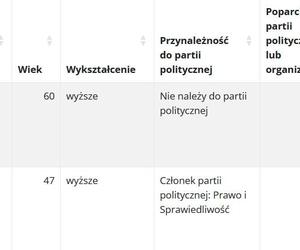 Wybory samorządowe 2024. Sprawdź, jak głosowano w gminach powiatu piotrkowskiego [GALERIA]