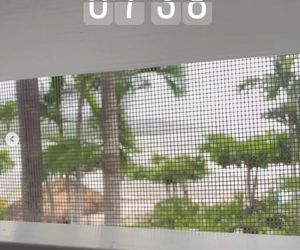 Aleksandra Żebrowska