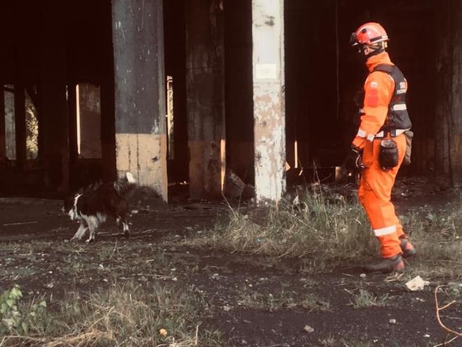 Przy kopalni Mysłowice ZAWALIŁ SIĘ budynek! Rannych szukali Robroy i Piorun