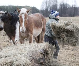 Rolnicy. Podlasie. Emilia Korolczuk i jej Ranczo Laszki