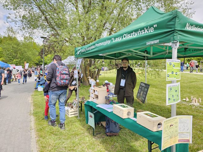 Festiwal Przyjaciół Zwierząt w Olsztynie. Park Centralny opanowały radosne pieski