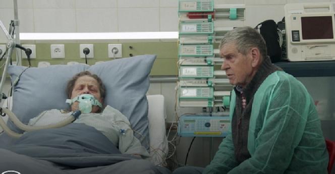 Pierwsza miłość, odcinek 3576: Celina umrze tak jak Marcin? Roman w szpitalu usłyszy, że nie ma już nadziei - WIDEO