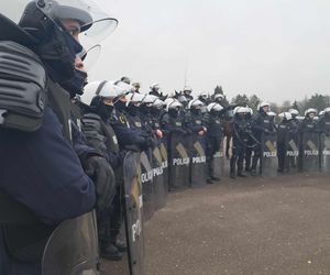 Atestacja koni służących w łódzkiej policji i straży miejskiej