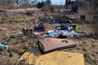 Tona śmieci na działkach pod Gorzowem. Burza w sieci