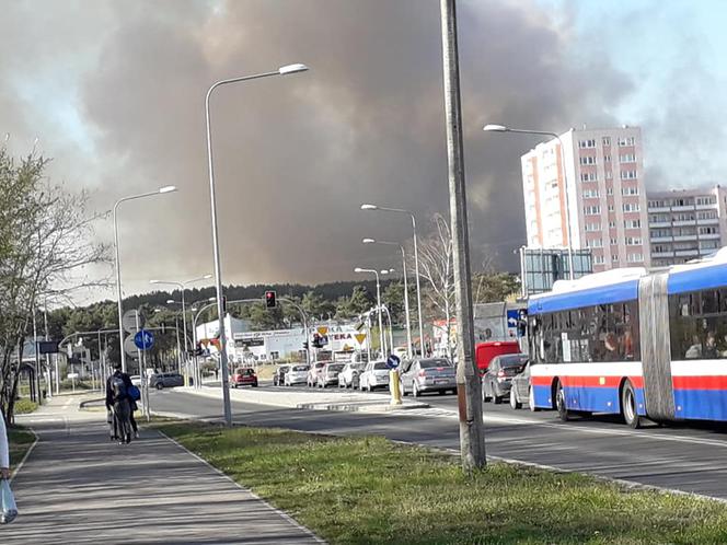 Groźny pożar lasu w bydgoskim Fordonie! [ZDJĘCIA]