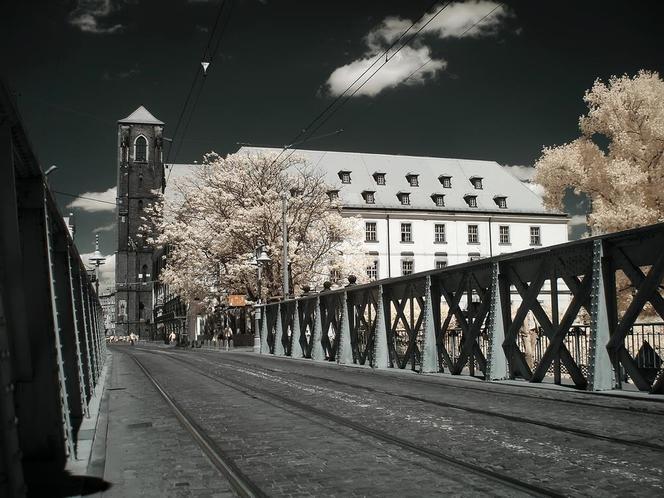 Wrocław w podczerwieni