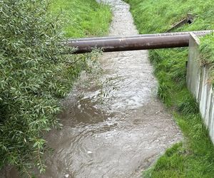 Ulewne deszcze w regionie. Stan rzek w Elblągu znów się podnosi. Służby postawione na nogi