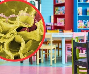 Salmonella w Toruniu się rozprzestrzenia! Zachorowali nie tylko podopieczni żłobka