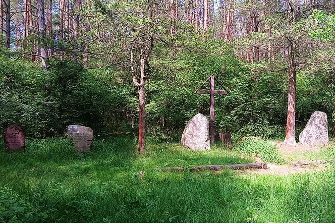 Leśny cmentarz rodu von Ramin