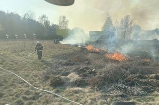 Spadła linia wysokiego napięcia. Ogień podchodził pod domy, ludzie ruszyli do gaszenia jeszcze przed strażakami