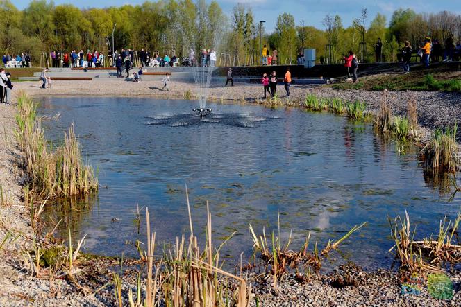 Zbiornik retencyjny Sikorskiego/Paukszty. Tak wygląda nowy park w Olsztynie [ZDJĘCIA]