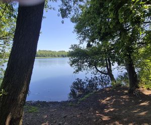 To jedno z największych jezior w Olsztynie. Kusi turystów piaszczystymi plażami