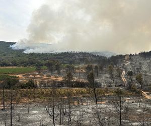 Ogromny pożar we Francji! Spłonął obszar wielki jak Paryż