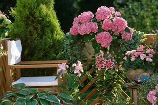 Balkon pełen roślin