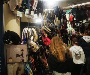 Cavaliada na Torwarze 2025