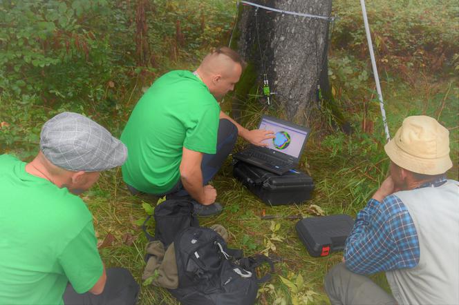 Radomscy leśnicy ratują zabytkowe drzewa w Gruzji 