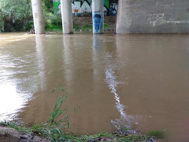 Sytuacja hydrologiczna w Tarnowie. Czy grozi nam powódź?