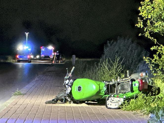 Wjechał motocyklem w łosia! Wielka tragedia, 18-latek nie miał szans