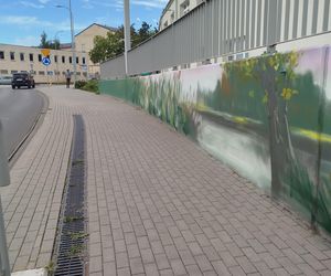 Kolorowe grafiki w siedleckim tunelu pod torami