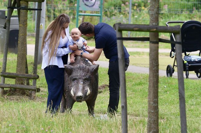 Miłosz Motyka. Energia rozpiera ministra