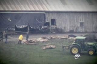 USA, ZENESVILLE: Policja wystrzelała lwy, tygrysy i niedźwiedzie