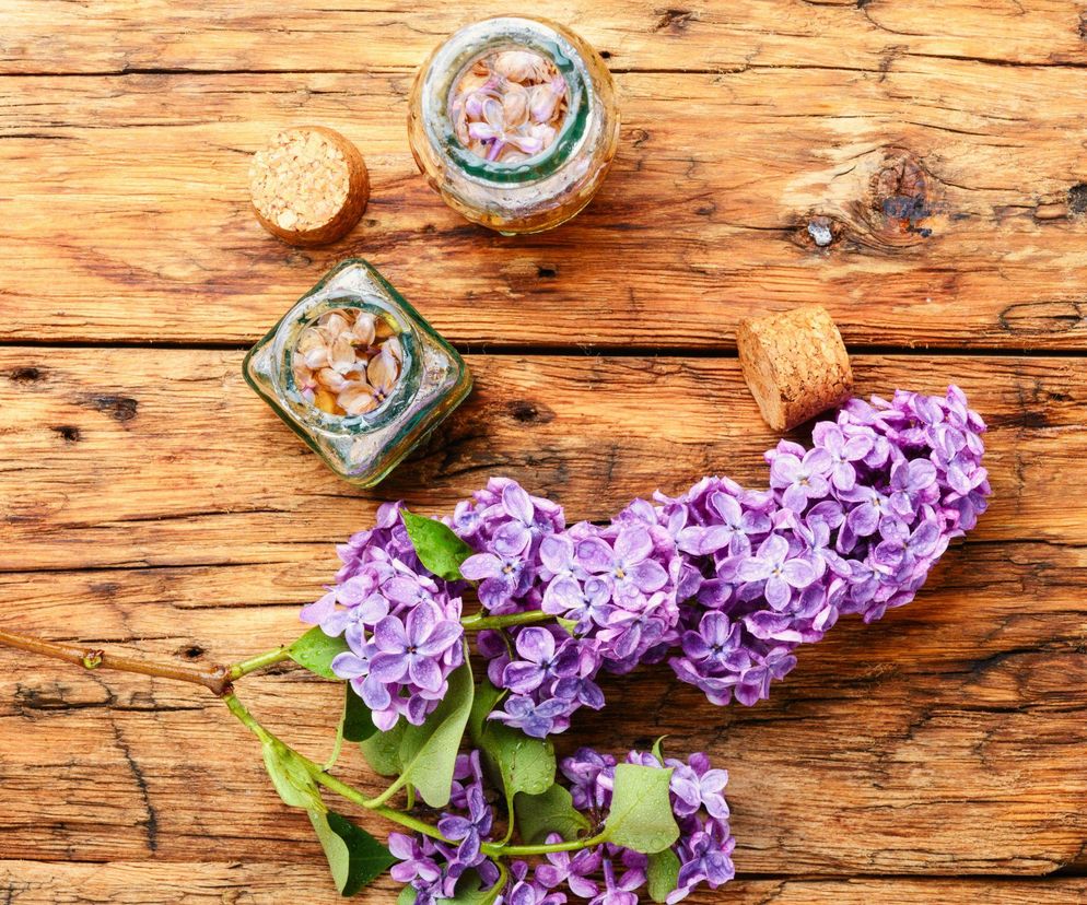 Nalewka z lilaka – aromatyczny eliksir wiosny, który zachwyca smakiem i zapachem
