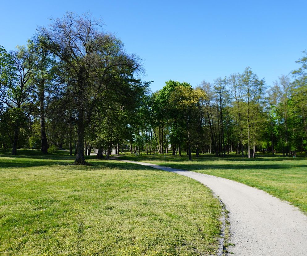 Park miejski w Opolu Lubelskim