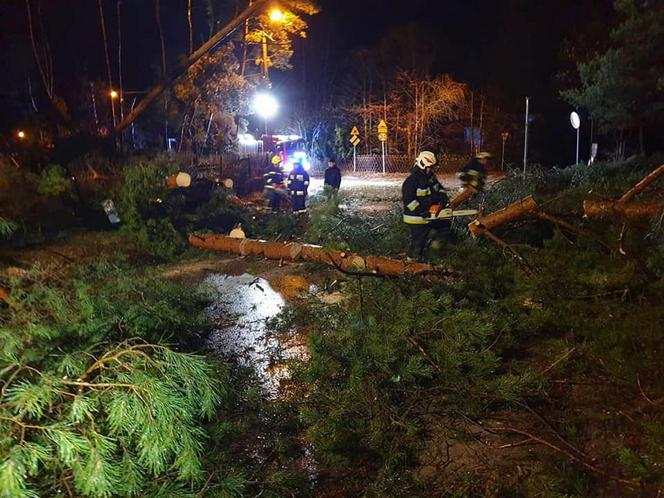 Wichury w Wielkopolsce. Połamane drzewa i zerwane linie energetyczne!
