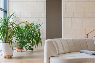 Modny trend w urządzaniu mieszkań. To będzie hit w 2024 roku! 