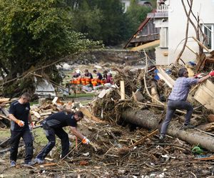 Burmistrz wyjechała na drogie wakacje, w tym czasie jej miasteczko zalała wielka fala. Nie wrócę