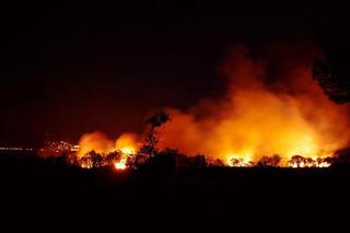 Wielki pożar wysypiska śmieci pod Tucholą. Zagrożony był las, zniszczony przez wichurę sprzed dwóch lat!