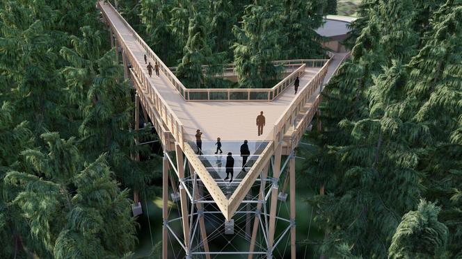 Sky Walk - Serce Poronina