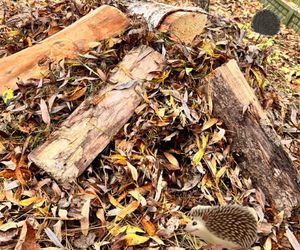 Nowe życie Daniela Martyniuka. Szok, co udostępnił w sieci