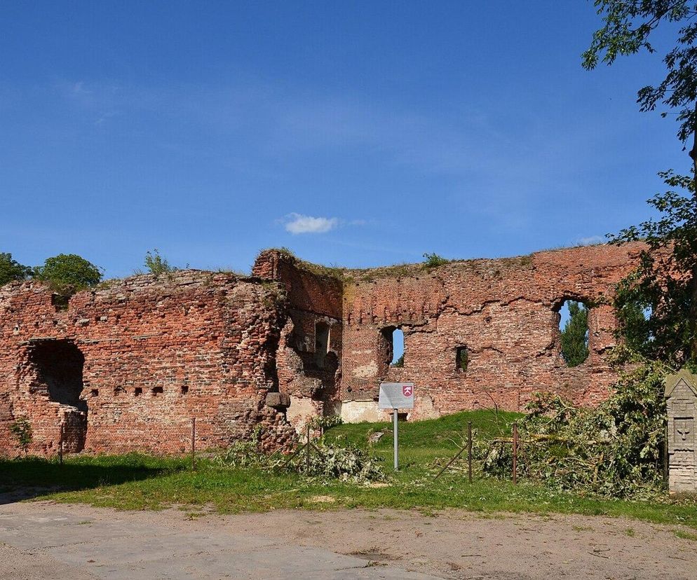 Radziki Duże