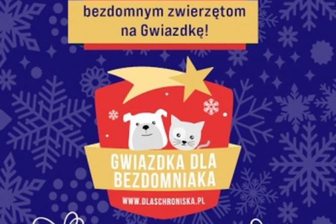 Nakarm bezdomniaki z Głogowa przy okazji Świąt!