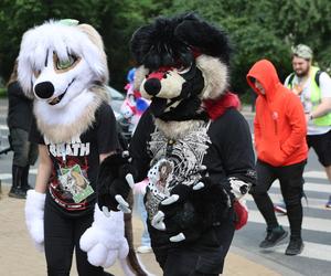 Marsz futrzaków w Lublinie. Tak wyglądał I Lubelski Fursuitwalk