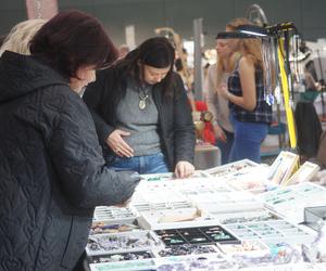 Giełda Minerałów, Biżuterii i Skamieniałości Geo Expo 2023 w Bydgoszczy. Tłumy w SISU Arenie [ZDJĘCIA]