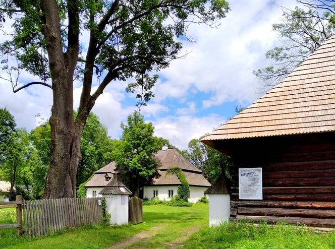 To jedna z najsłynniejszych wsi w Małopolsce. Wychował się w niej ks. Józef Tischner